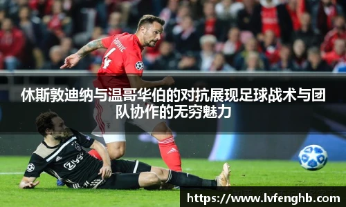 熊猫体育
